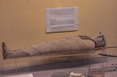 Kahire, Mısır - 13 Kasım 2021: Kahire 'deki Kahire Müzesi' nde mumyalar, Mısır 'daki Kahire Müzesi' nde mumyalar
