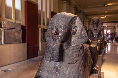 Kahire, Mısır - 13 Kasım 2021: Mısır Sfenks heykeli Kahire, Mısır 'daki Kahire Müzesi' nde