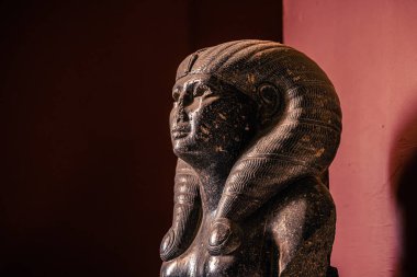 Kahire, Mısır - 13 Kasım 2021: Kahire, Mısır 'daki Kahire Müzesi' ndeki Antik Mısır heykelleri