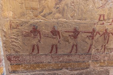 Saqqara, Mısır - 14 Kasım 2021: Mısır 'ın Saqqara kentindeki duvar oymaları