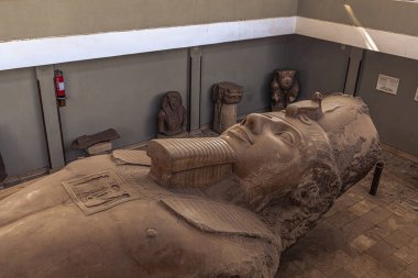 Memphis, Mısır - 14 Kasım 2021: Antik Mısır 'ın Memphis kentinde II. Ramses Heykeli