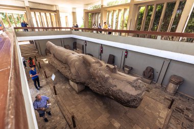 Memphis, Mısır - 14 Kasım 2021: Antik Mısır 'ın Memphis kentinde II. Ramses Heykeli