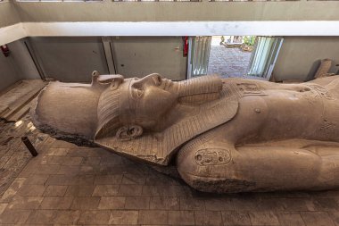 Memphis, Mısır - 14 Kasım 2021: Antik Mısır 'ın Memphis kentinde II. Ramses Heykeli