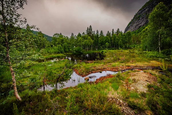 Norveç Temmuz 2023 Güney Norveç Güzel Sulu Yeşil Manzarası — Stok fotoğraf