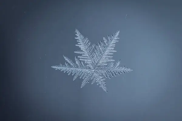 stock image Fractal snowflace icicle in a glass window