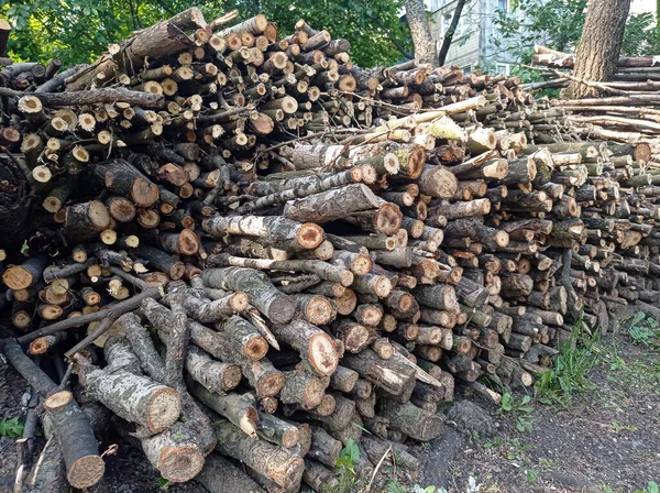 Houten Omheining Logboek Set Log Decor Stammen Gezaagde Bomen — Stockfoto