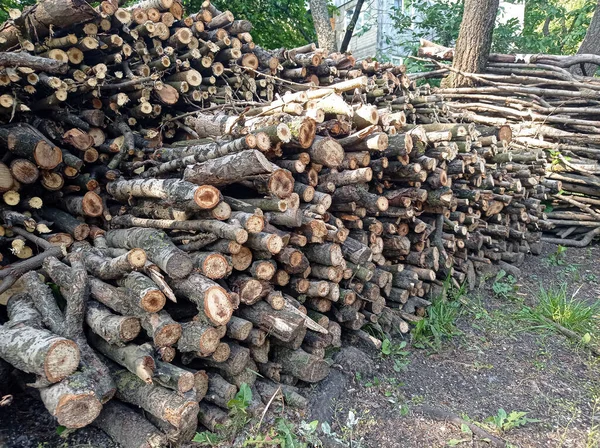 Houten Omheining Logboek Set Log Decor Stammen Gezaagde Bomen — Stockfoto