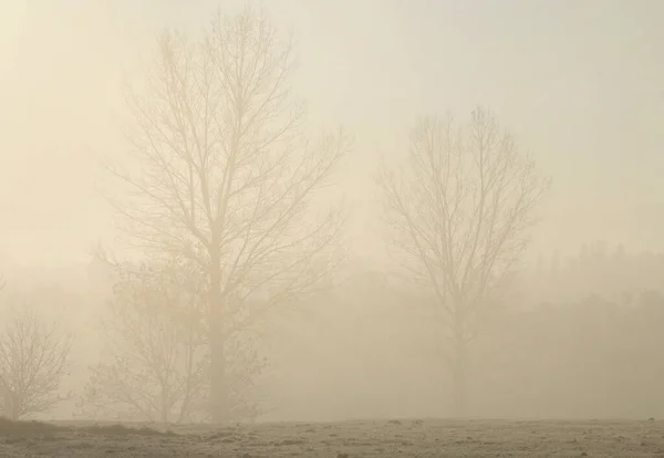 Misty Landscape Morning Autumn Time — Stock Photo, Image