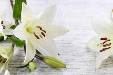 Ahşap arka planda Beyaz lilyum. Grafik kaynakları