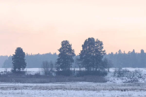 Misty Landscape Morning Winter Time — Stock Photo, Image