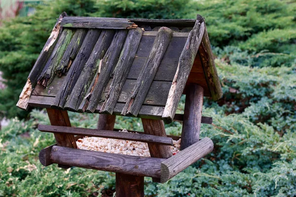 Old Wooden Bird Feeder Garden Garden Hobby — Stock Photo, Image