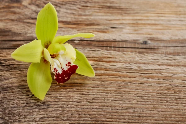 Bellissimi Fiori Orchidea Gialla Sfondo Legno Risorse Grafiche — Foto Stock
