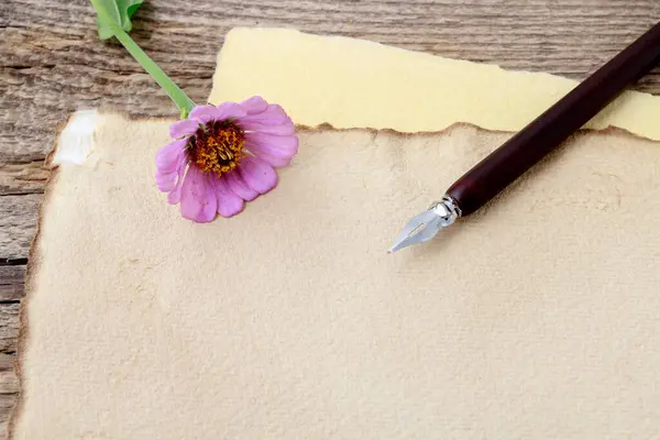 Tek Bir Pembe Zinnia Çiçeği Eski Bir Kalem Ahşap Masanın — Stok fotoğraf
