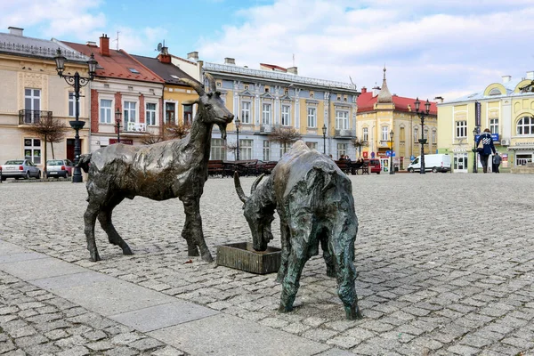Monumento Las Cabras Plaza Ciudad Vieja Brzesko Polonia — Foto de Stock