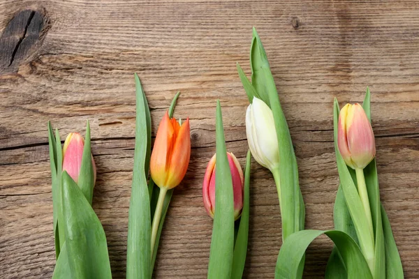 Kolorowe Tulipany Drewnianym Tle Przestrzeń Kopiowania Zasoby Graficzne — Zdjęcie stockowe
