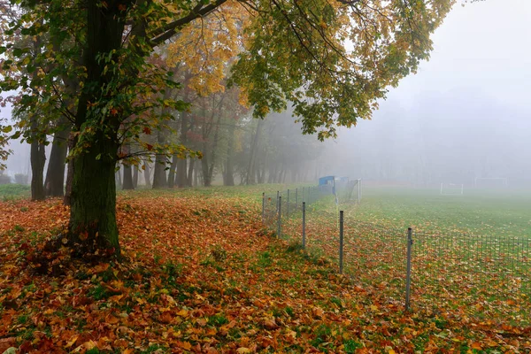 Misty Höstpark Vacker Oktobermorgon Slappna — Stockfoto