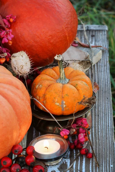 Rustykalna Jesienna Dekoracja Dyniami Roślinami Ogrodowymi Świecami Impreza Ogrodowa — Zdjęcie stockowe