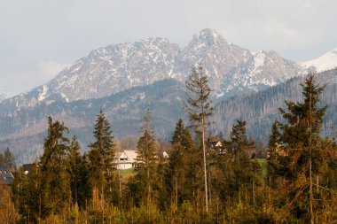 Önlerinde Tatra dağları ve kozalaklı ormanlar var. Dağlarda ilkbahar