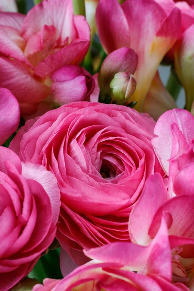 Bukiet Różowe Kwiaty Freesia Różowy Perski Kwiat Jaskry Zasoby Graficzne — Zdjęcie stockowe