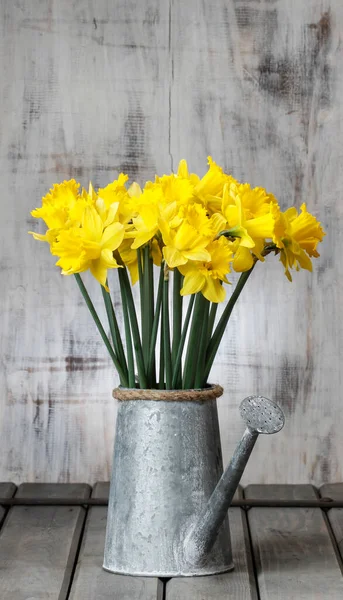 Daffodils Zilveren Gieter Grijze Houten Tafel Feestdecor — Stockfoto