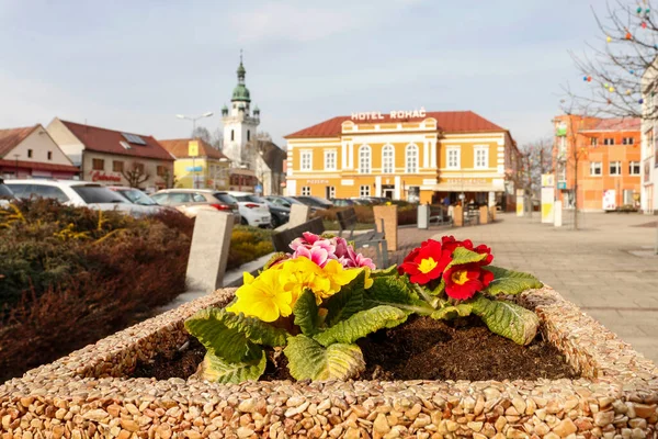 Virág Dekoráció Régi Város Trstena Szlovákia — Stock Fotó