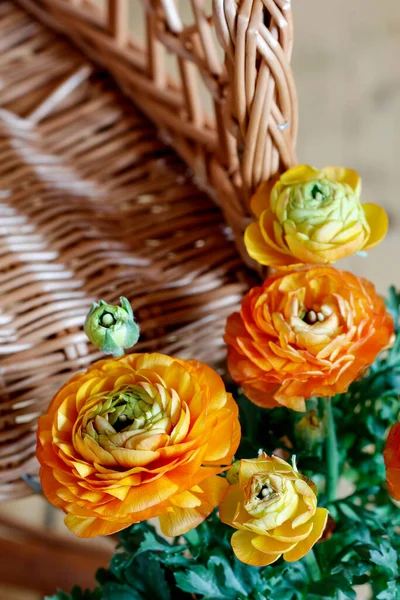 Hermosas Flores Ranúnculo Naranja Decoración Del Partido — Foto de Stock