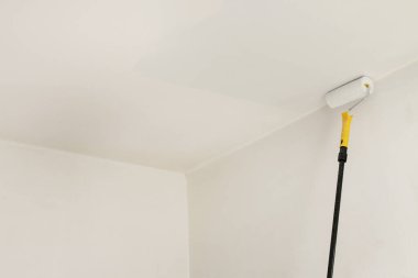 Daireyi silindirle boyamak. Ev yenilenmesi