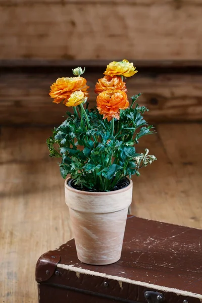 花で家の装飾 木製のインテリア パーティーの装飾 — ストック写真