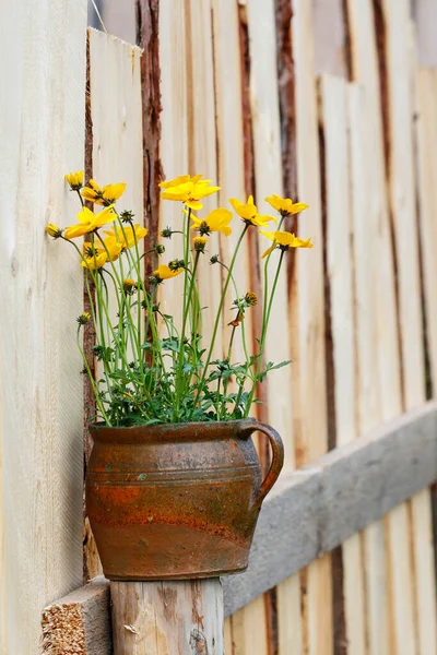 Žluté Květy Keramickém Hrnci Zahradní Výzdoba — Stock fotografie