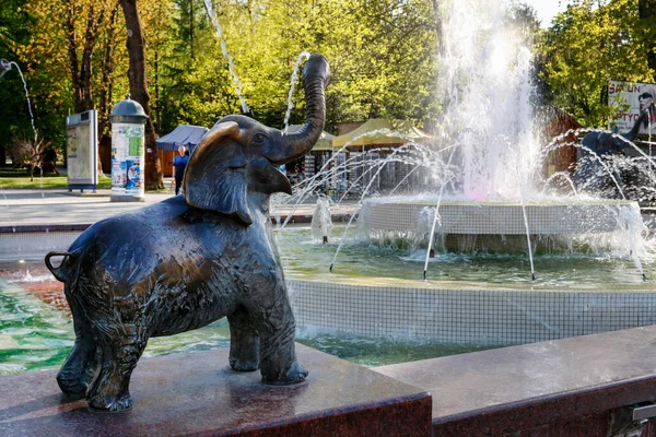 폴란드의 휴양지인 라스카 즈드로 앞에서 코끼리와 — 스톡 사진
