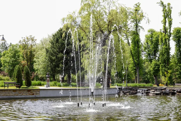 라스카 즈드로 공원에 — 스톡 사진