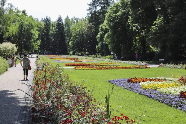 Цветочная Кровать Городском Парке Рабка Польша — стоковое фото