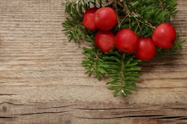 Paradise elma (Malus pumila Mill) ve köknar ahşap arka plan, kopya alanı üzerinde.