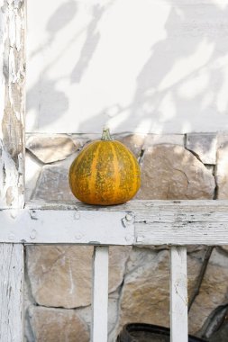 Bahçe masasında balkabakları. Sonbahar dekoru