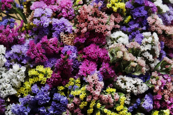 A floral background with limonium flowers. Graphic resources