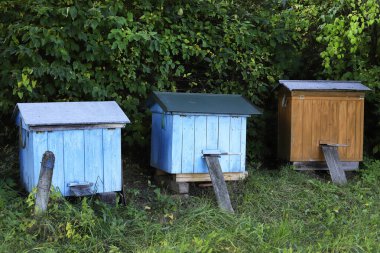 Bahçedeki ahşap arı kulübeleri. Tarım hobisi