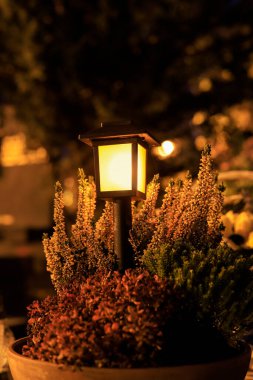 Bahçedeki fundalıkların arasında küçük güzel bir fener. Grafiksel kaynaklar