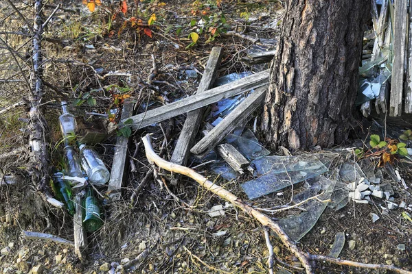 Bosque Lleno Bolsas Plástico Zakopane Polonia — Foto de Stock