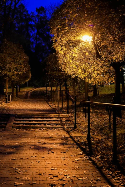 Uma Avenida Outono Noite Recursos Gráficos — Fotografia de Stock