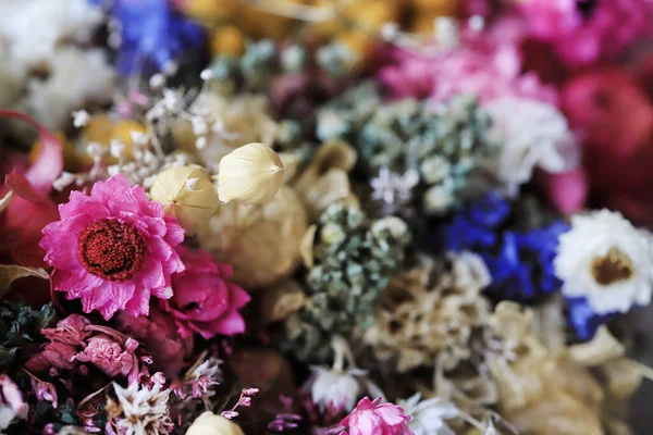 A beautiful background with dried flowers. Graphic resources