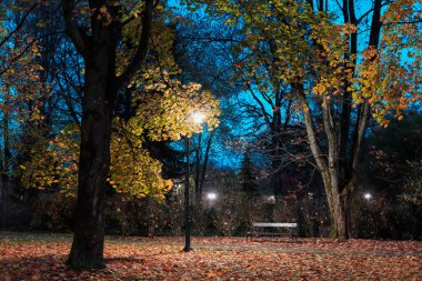 RABKA ZDROJ, POLAND - 25 Ekim 2022: Geceleyin güzel bir halk parkı.