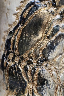 Işığın yansıdığı parlak siyah ve altın bir yüzey. Grafiksel kaynaklar