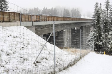Polonya 'nın Rabka Zdroj kenti yakınlarındaki Zakopianka yolu..