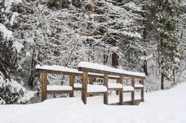 Ormanda eski ahşap bir köprü. Kış karlı manzarası.