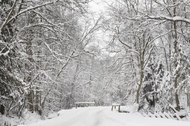 Ormanda eski ahşap bir köprü. Kış karlı manzarası.