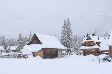 Chocholow 'un ahşap mimarisi, Polonya' nın Zakopane yakınlarındaki bir orman..