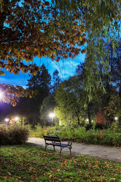 Rabka Zdroj Lengyelország Október 2022 Egy Gyönyörű Nyilvános Park Éjszaka — Stock Fotó