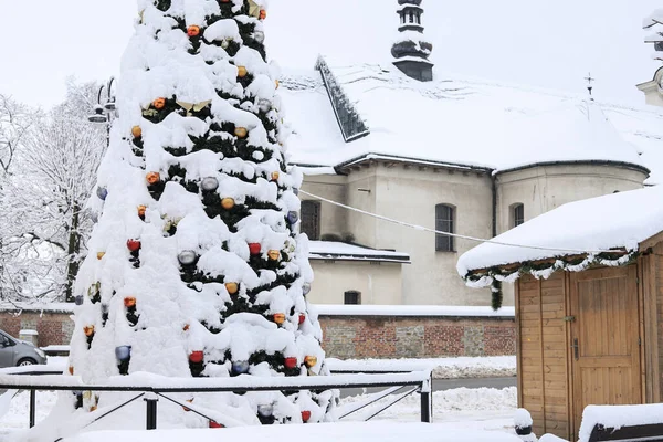 Χριστουγεννιάτικο Δέντρο Κάτω Από Χιόνι Στο Czarny Dunajec Πολωνία — Φωτογραφία Αρχείου