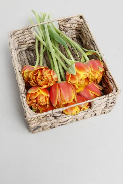 Orange Tulpan Blommor Korgen Vårinredning Royaltyfria Stockfoton