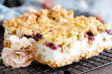 Yaban mersinli ve üzümlü ev yapımı meyveli kek. Parti tatlısı